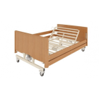 Buy AlEssa Medical REHABED Electric Bed With Mattress Online