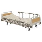 Buy Sigmacare Electric Bed With Side Rail Online