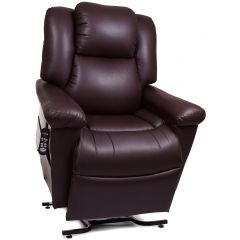 Buy Golden Day Dreamer Lift Chair With Massage Unit Online