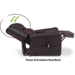 Buy Golden Day Dreamer Lift Chair With Massage Unit Online