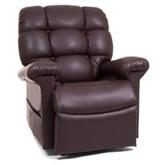 Buy Golden Lift And Recline Chair Online