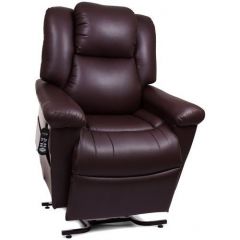 Shop Golden Day Dreamer Lift Chair Without Massage Unit Online