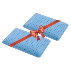 Soft Life Memory Foam 2Pcs Bundle Aroma Therapy Pillow (Lavender)